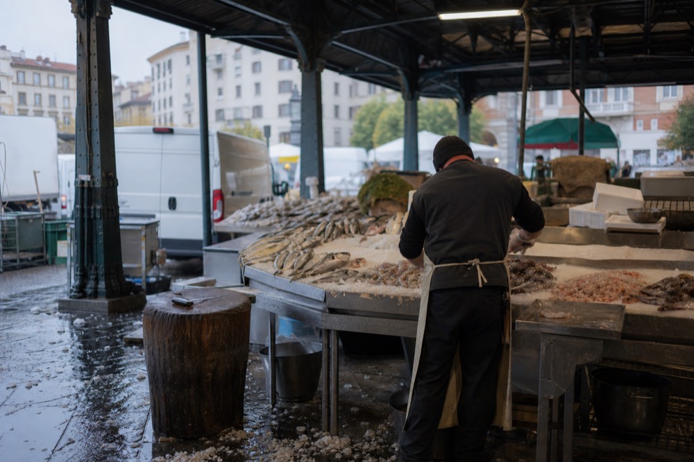 Fishmonger arranging ice and seafood at a covered market counter in Milan
