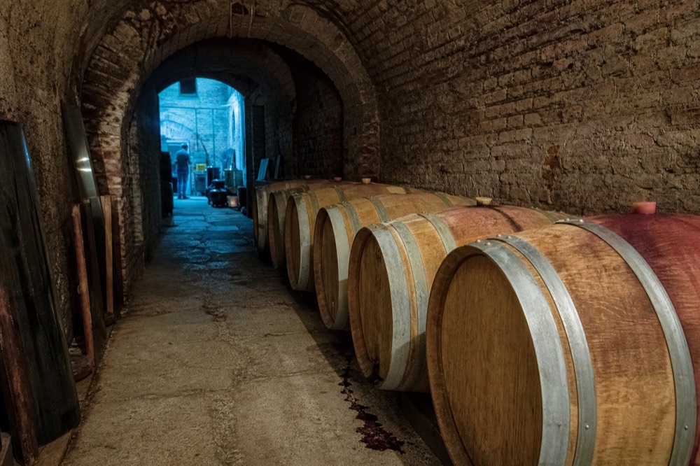 Oak barrels lined along the wall of a small urban winery